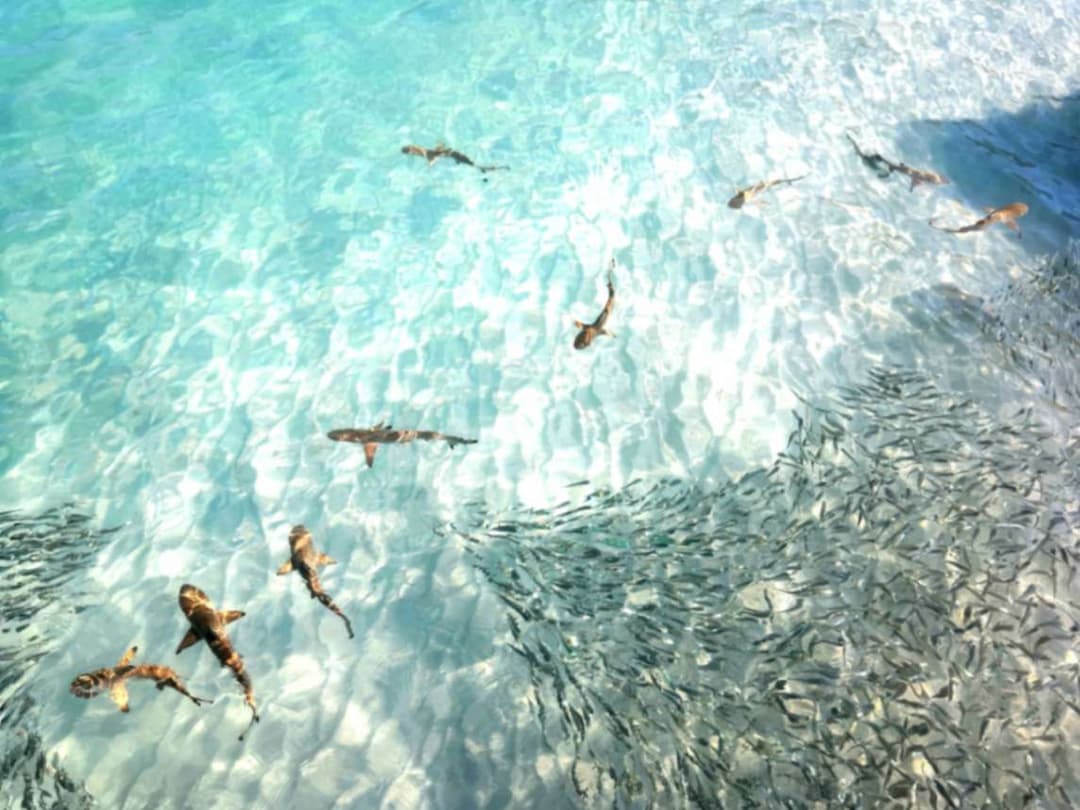 resort gallery main image